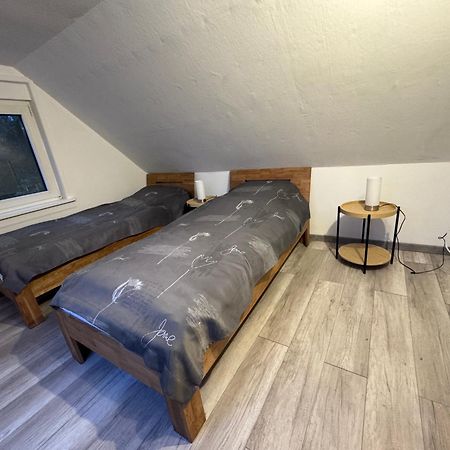 Ferienhaus Bockswiese 戈斯拉尔 外观 照片