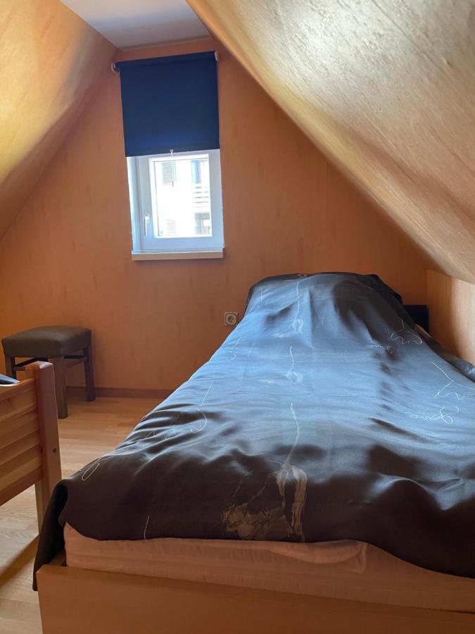 Ferienhaus Bockswiese 戈斯拉尔 外观 照片