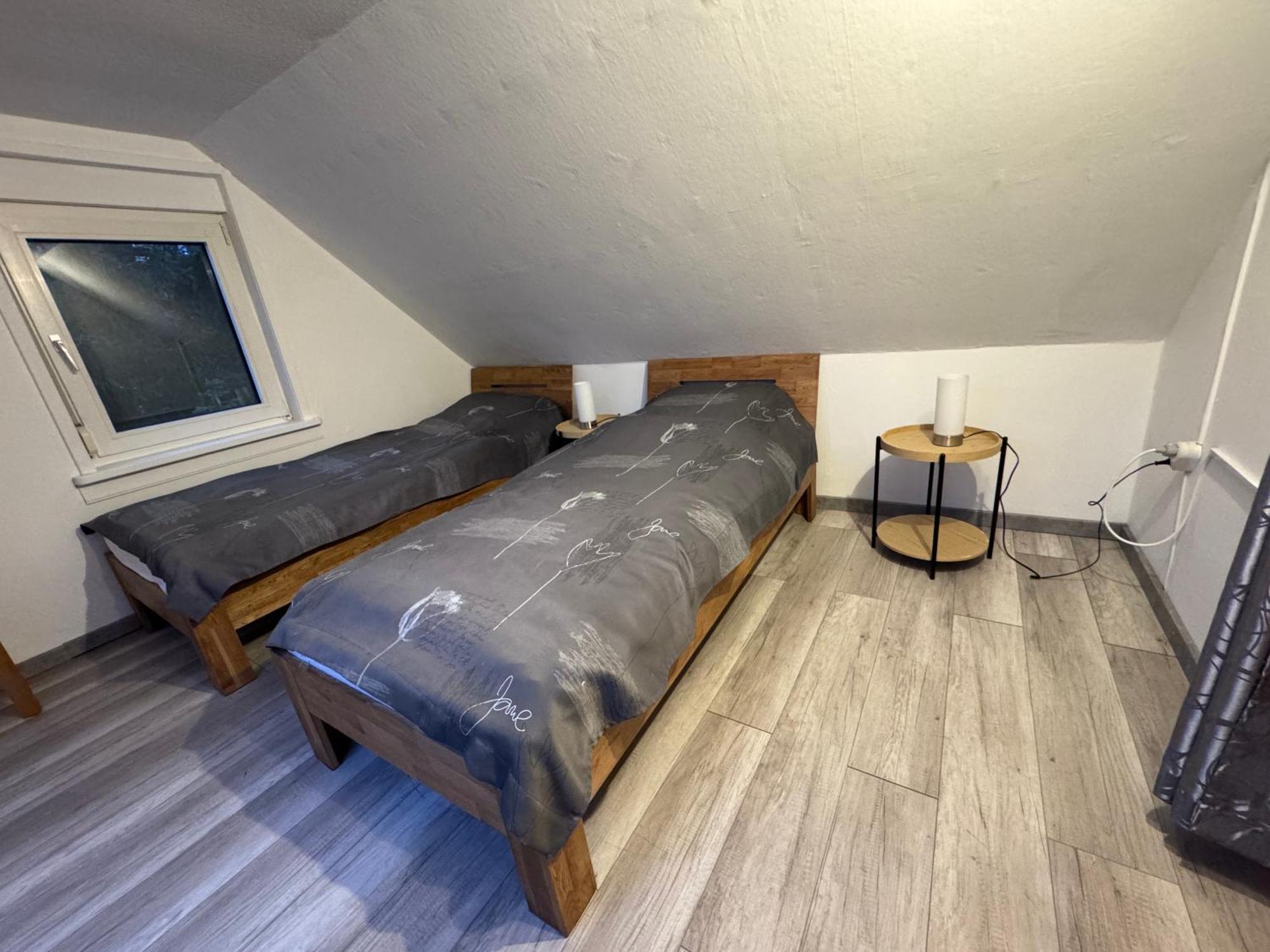 Ferienhaus Bockswiese 戈斯拉尔 外观 照片