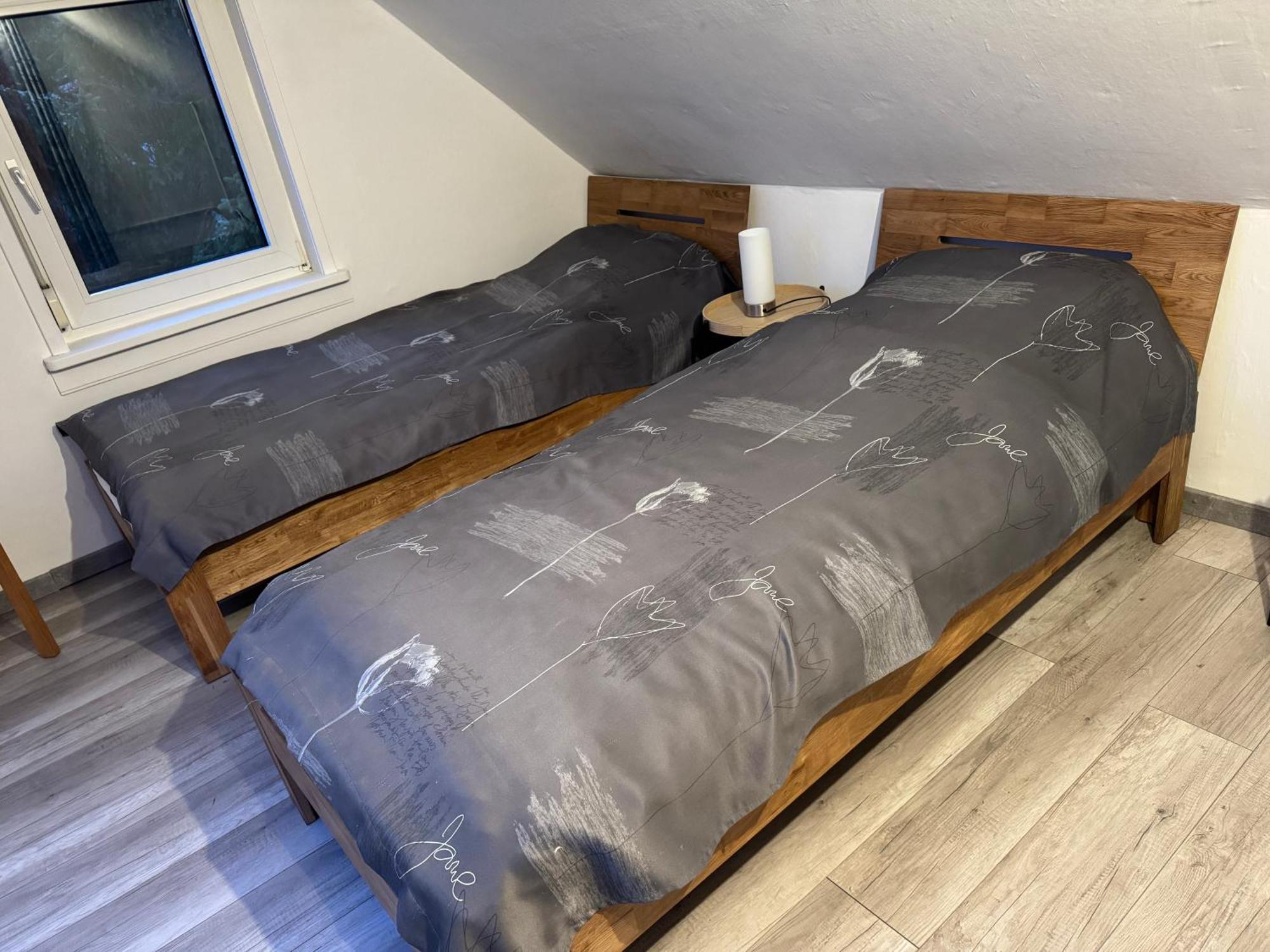 Ferienhaus Bockswiese 戈斯拉尔 外观 照片